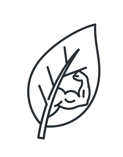 sommeil, apaisement, naturel, CBD, chanvre, graine de chanvre, huile de chanvre, tisane de chanvre, farine de chanvre, huile CBD, savon chanvre, chanvivre