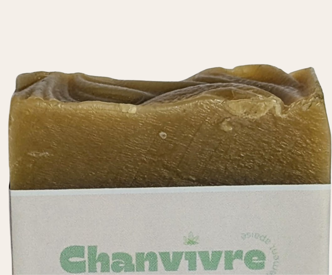 Savon Surgras 100g
